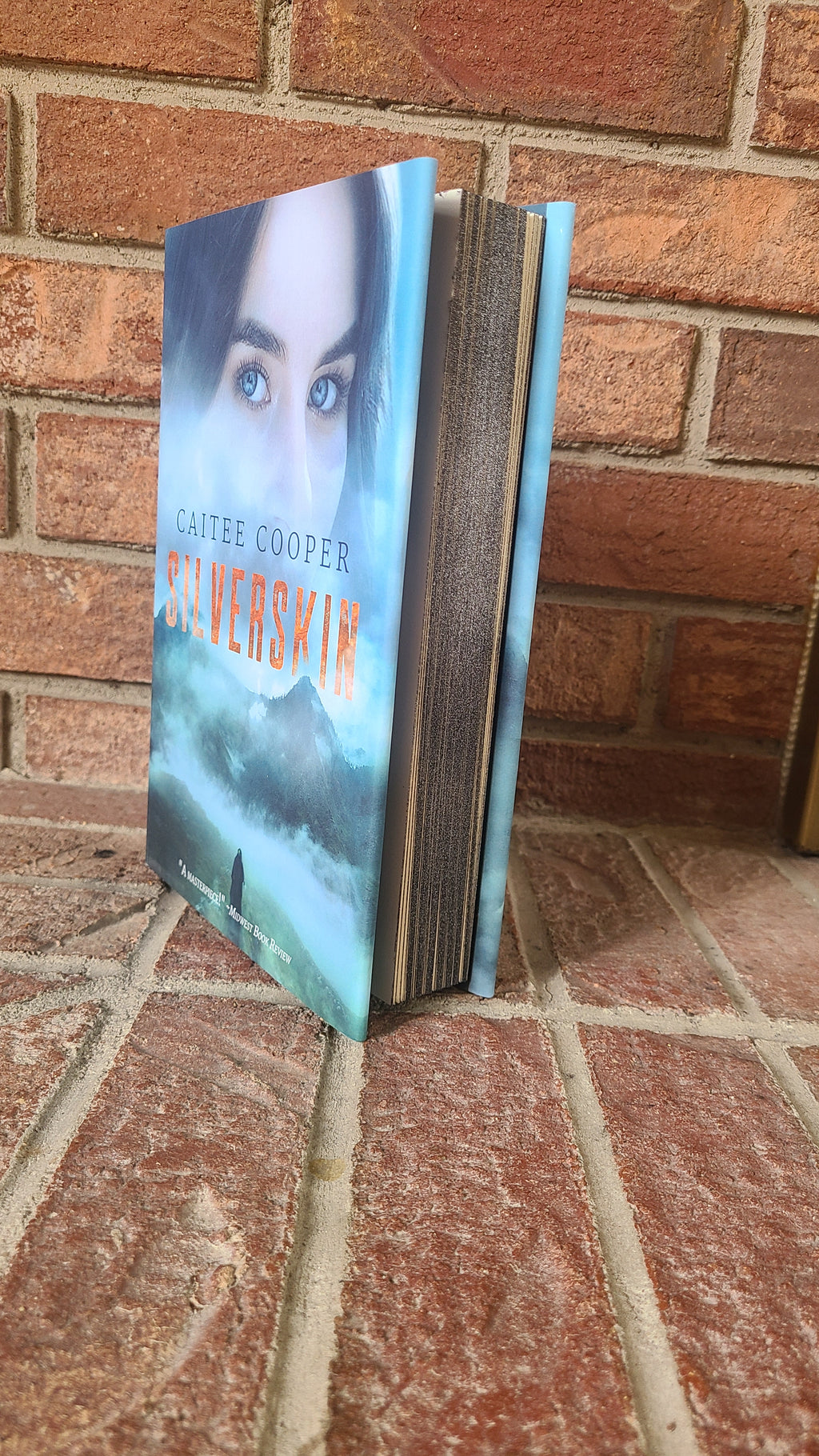 Silverskin Sprayed-Edge Hardcover