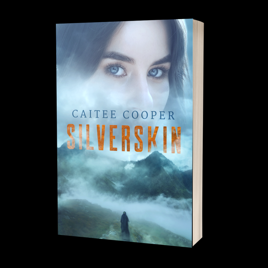 Silverskin Paperback